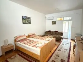 Apartman Nikola VB