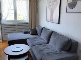 DarViva Apartment Niš, center, private garage parking, river view