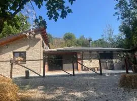 Tenuta de Maffutiis