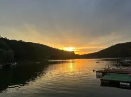 Cabana Lacul Surduc