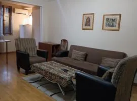 Apartment in the city center on Pushkin 3 street