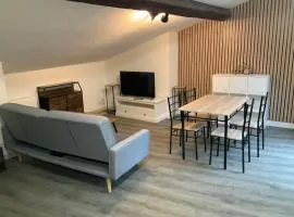 Grand 2 chambres centre Foix parking devant