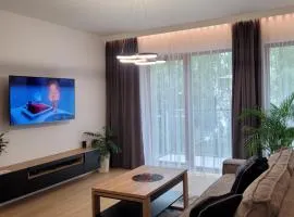 Apartament Parkitka