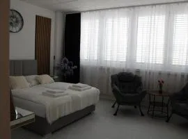Résidence Appartment Gebenstorf