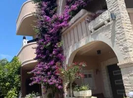 Komfortable Appartements in Vodice