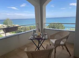 Villa Farell just in front of the sea