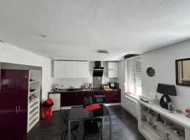 Appartement Agen