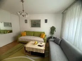Alipasha's Apartment