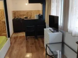 L 1 Studio Apartment