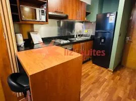 Estupendo estudio sector tranquilo y turístico a pasos del metro, Providencia