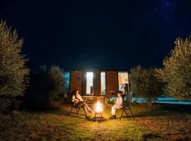 The Little Grove Retreat by Tiny Away