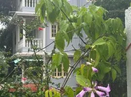 Diva Gomes Guest House