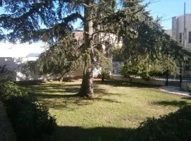 B&B Il Cedro