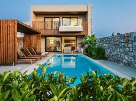 Aethrion Villas & Suites