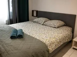 Mega COOL Flat France Suisse
