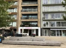 sunny terrace