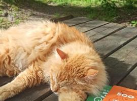 Maison landaise avec piscine proche Hossegor Capbreton, hotel a Angresse