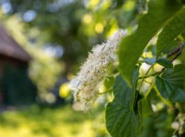 Fewo Silke Dethlefsen, overnatningssted i Pelvorm