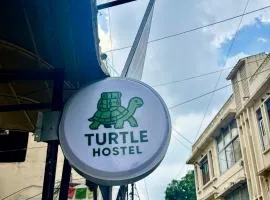 Turtle Hostel Udaipur
