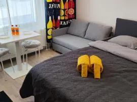 Modern studio near Airport with Self check-in