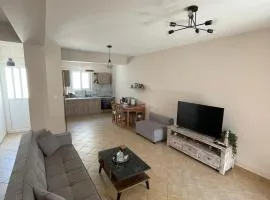Vi House Α cozy apartment near the beach & airport