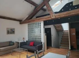Loft ViaRhôna, Grand loft en Centre-Ville