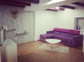 Apartament Central Muma