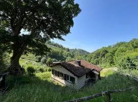Ferienhaus Denise Harz