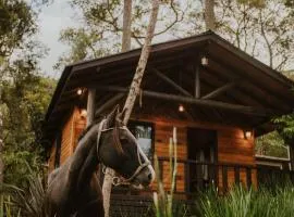 Cabana Floresta nas Cabanas Malbec Lareira, Conforto e Vista para o Verde