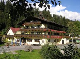 Gasthof Mühle – Natur- & Wanderhotel, hotel v mestu Rinchnach