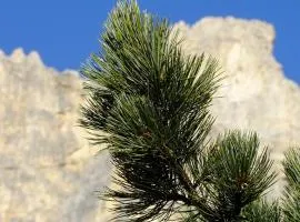 Il Cirmolo