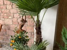Gemütlich & einzigartig: Altbauloft in Edenkoben