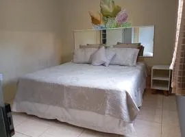 Apto 10 preço acessível