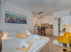 Studio Apartment Nika