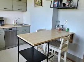 Viscosa Holiday Apartment