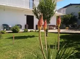 Janja Medjugorje