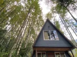 Lodge kumelka