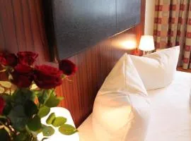 City Hotel Mercator