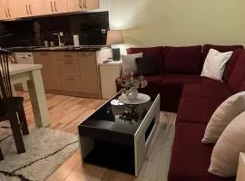 Cosy apartment 11Mins Center