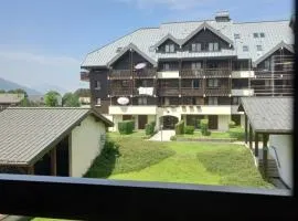 Bel appartement Samoens La Cour classe 2 etoiles