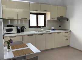 Ani Apartment with Fireplace