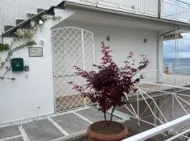 Terrazza Ammare