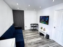 Cosy London Base 1 Bedroom Sofa Bed Sleeps 4 and Free Parking