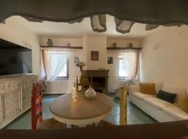 Blue Goose Apartment