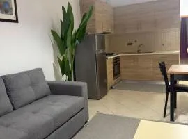 Marin's Apartments Radhime