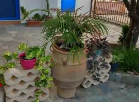 Meli Mika houses