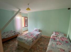 Шанхай, hotel v destinaci Bosteri