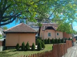 Apartmani Trajković