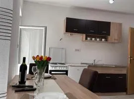 Apartment Matija