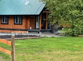 Log lofted rustic cabin in woods